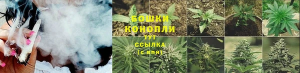 ALPHA PVP Бородино