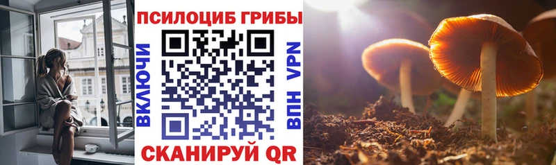 Галлюциногенные грибы Magic Shrooms  Купить закладки  Дагестанские Огни 